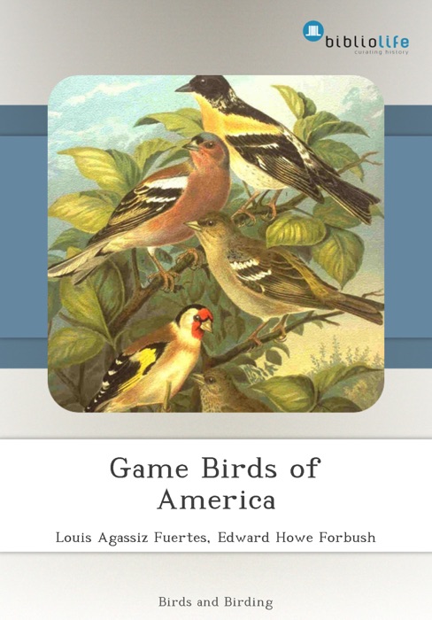 Game Birds of America