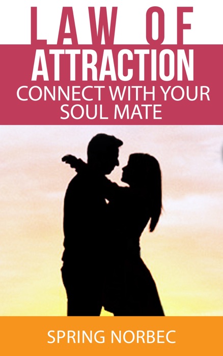Law of Attraction: Connect With Your Soul Mate