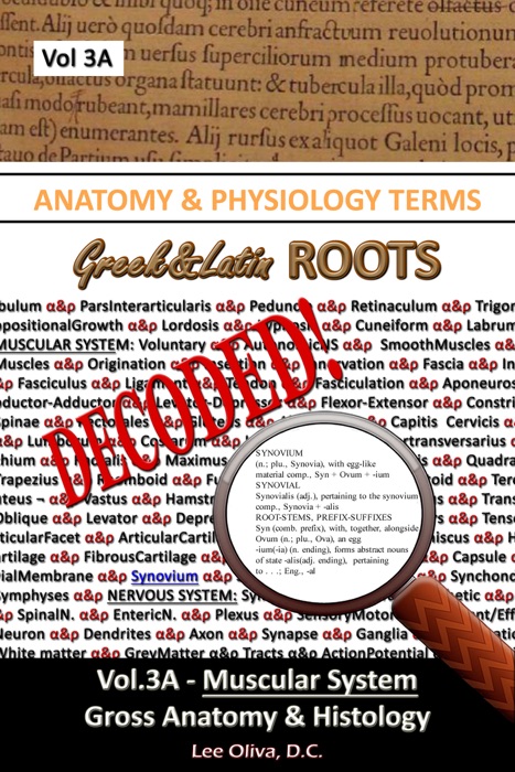 Anatomy & Physiology Terms Greek&Latin ROOTS DECODED! Vol.3AB: Muscular System: Gross Anatomy & Histology