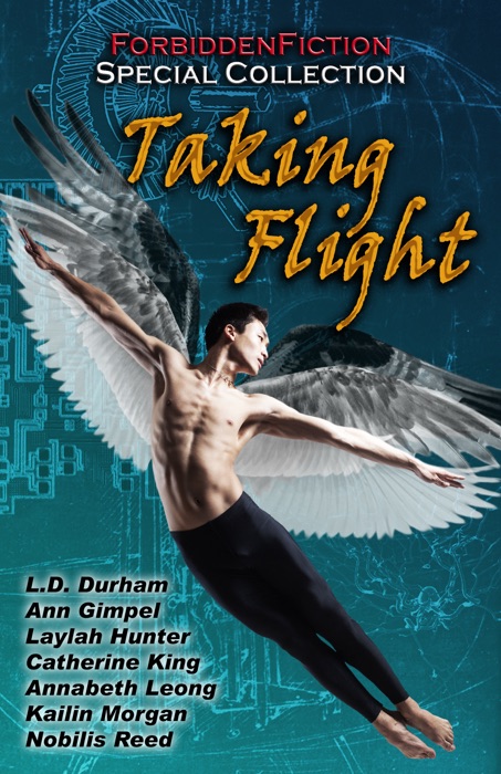Taking Flight: An Erotic Anthology with Wings