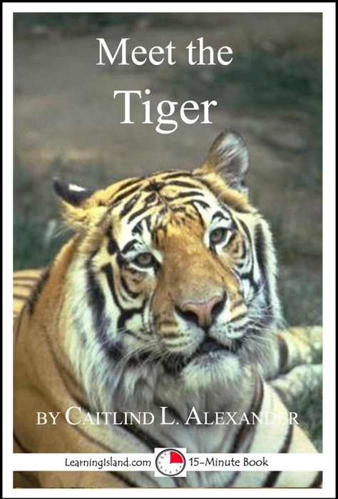 Meet the Tiger: A 15-Minute Book for Early Readers