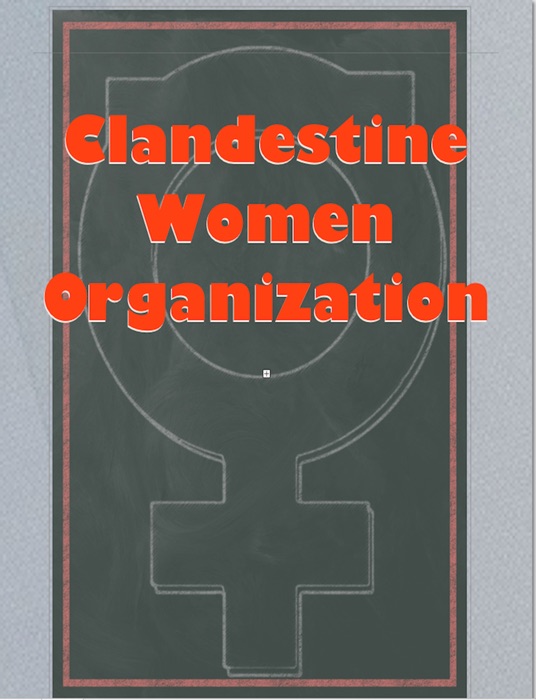 Clandestine Women Organization