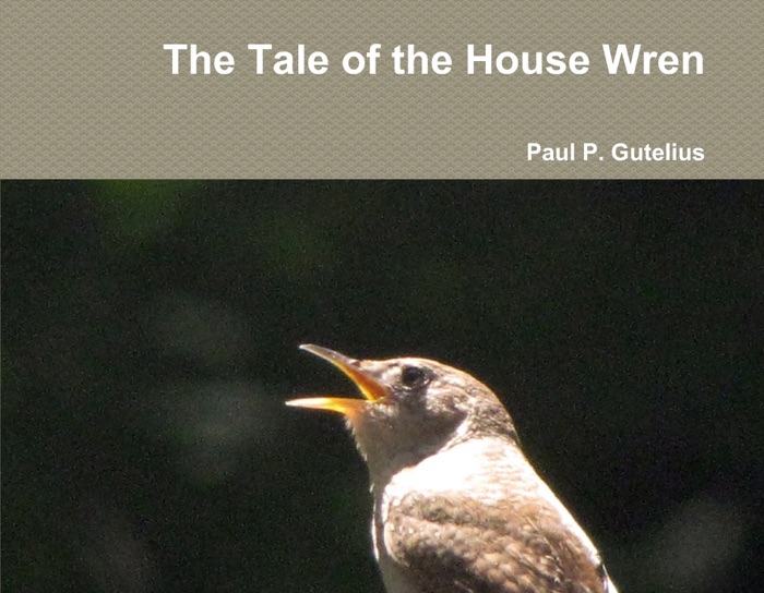 Tale of the House Wren