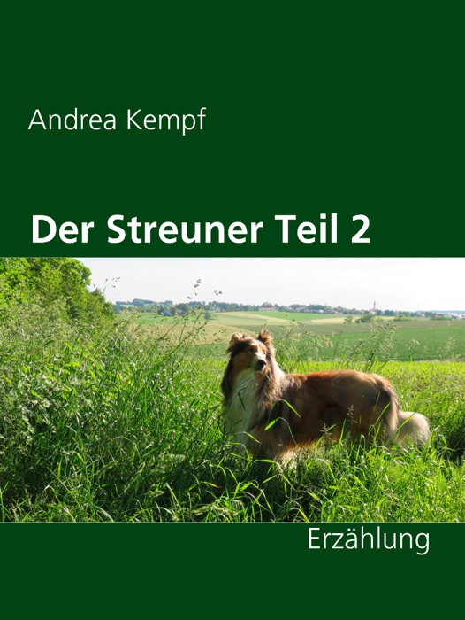 Der Streuner Teil 2