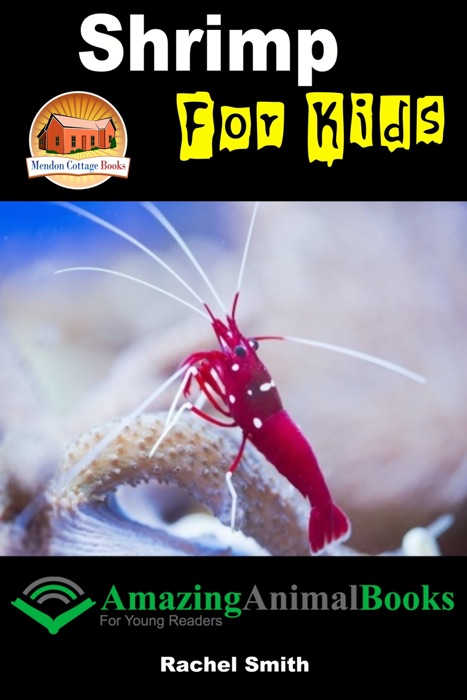 Shrimp For Kids