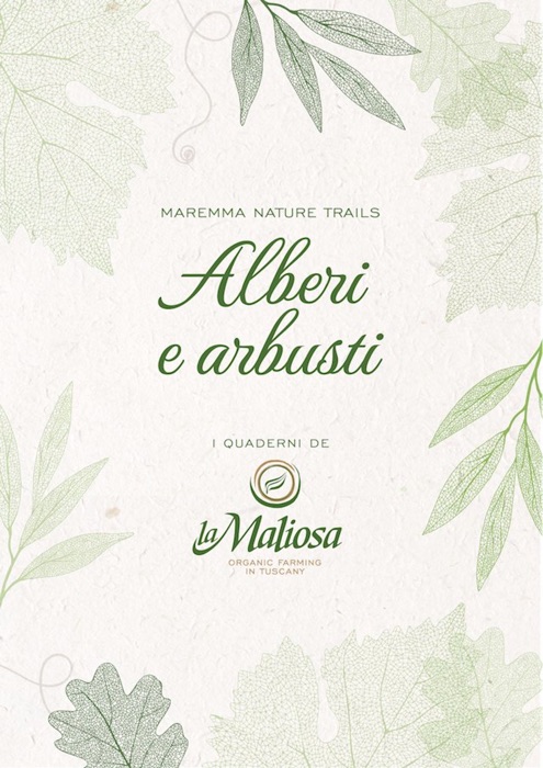 Alberi e arbusti