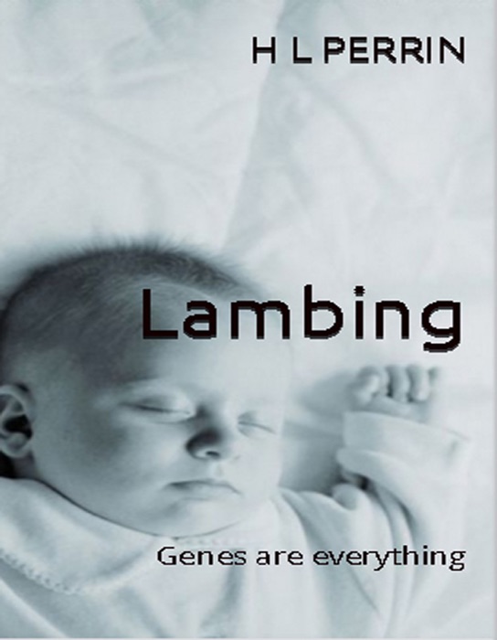 Lambing: Genes are Everything