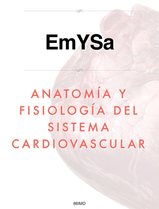 Anatomía y fisiología del sistema cardiovascular