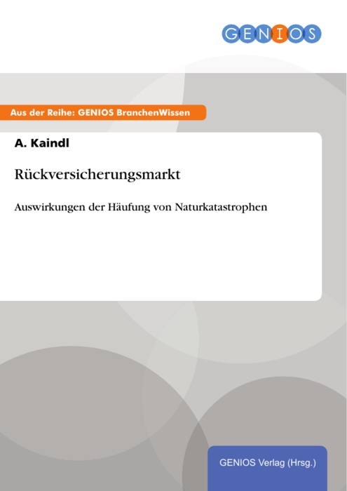 Rückversicherungsmarkt