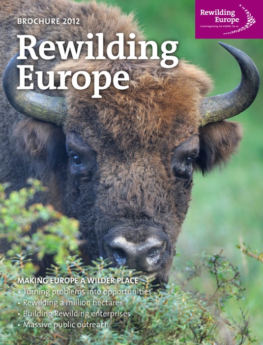 Rewilding Europe