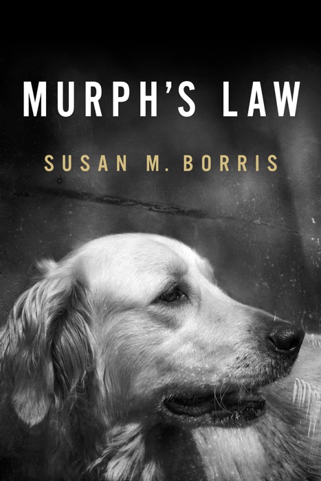 Murph's Law