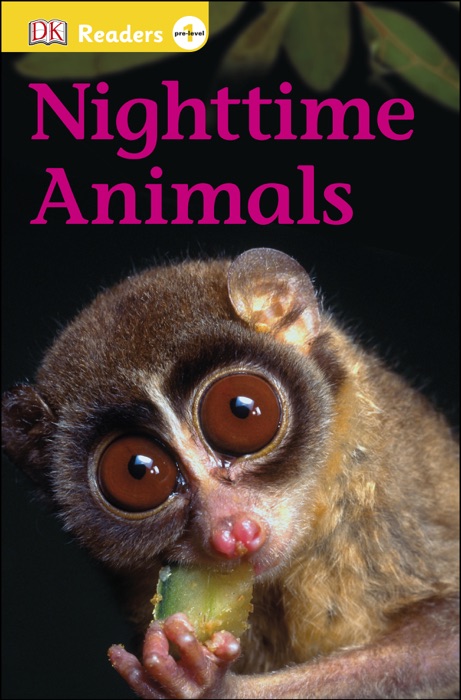 DK Readers L0: Nighttime Animals