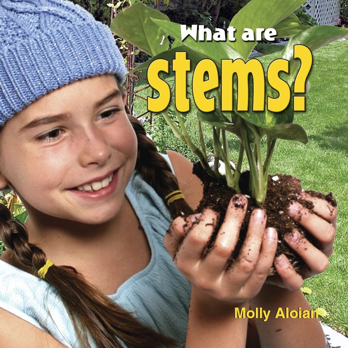 What are stems?