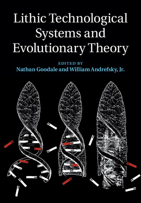 Lithic Technological Systems and Evolutionary Theory