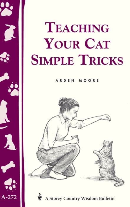 Teaching Your Cat Simple Tricks