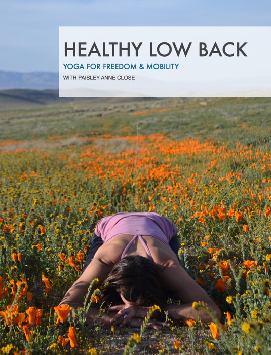 Healthy Low Back