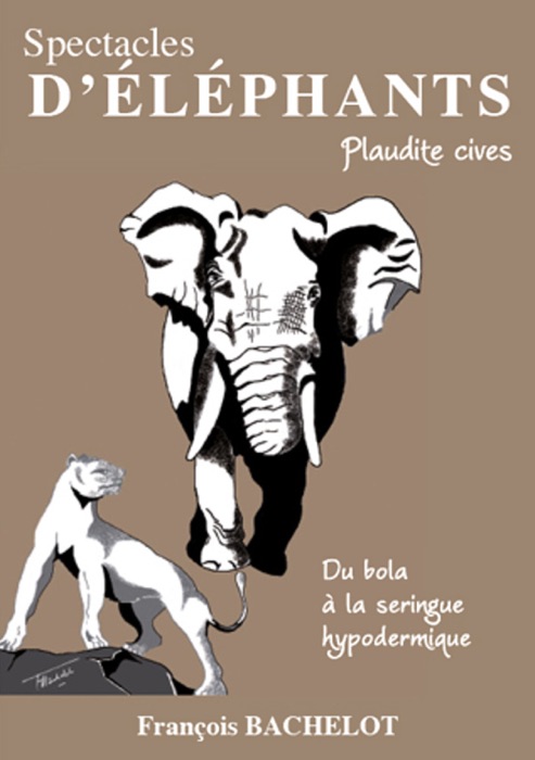 Spectacles d’Eléphants