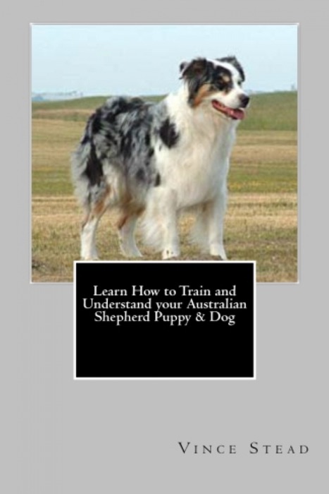 Learn How to Train and Understand your Australian Shepherd Puppy & Dog