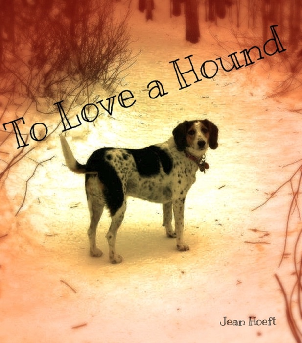 To Love a Hound