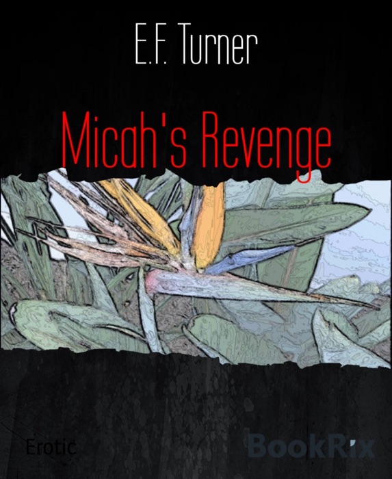 Micah's Revenge