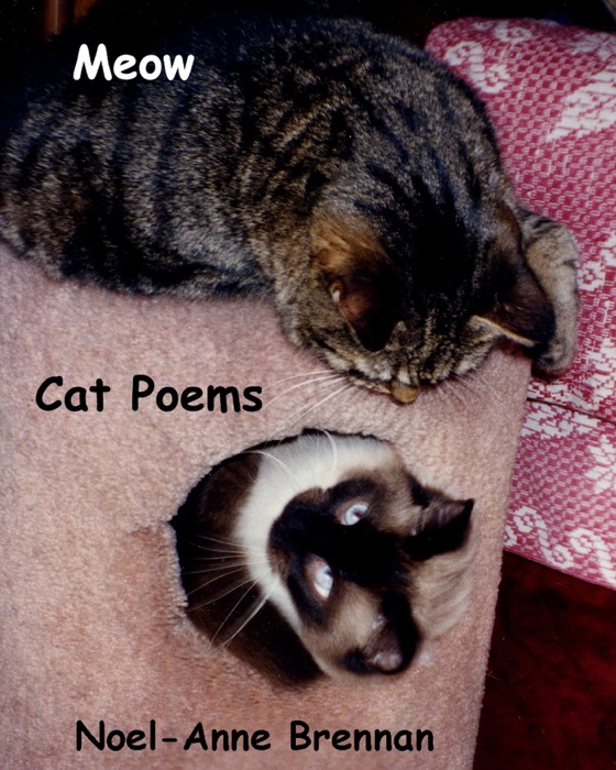 Meow Cat Poems