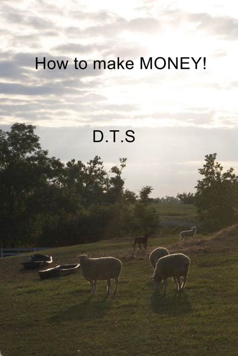 How to make Money!