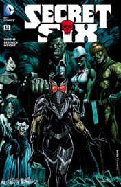 Secret Six (2014-) #13 - Gail Simone & Tom Derenick by  Gail Simone & Tom Derenick PDF Download