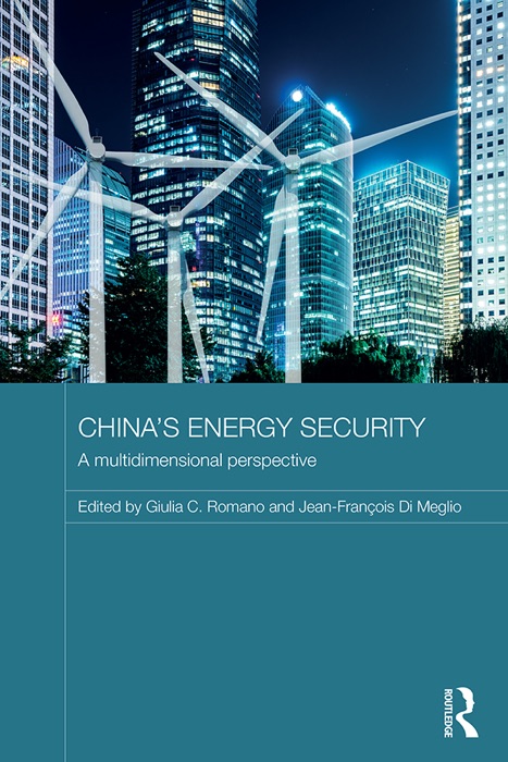 China's Energy Security