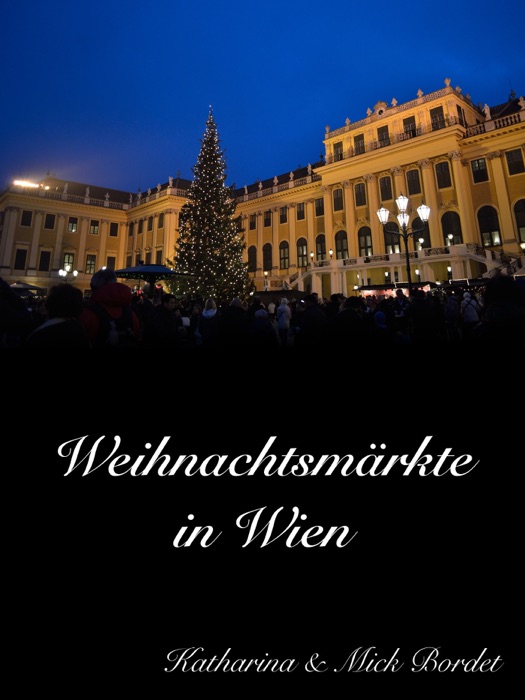 Weihnachtsmärkte in Wien