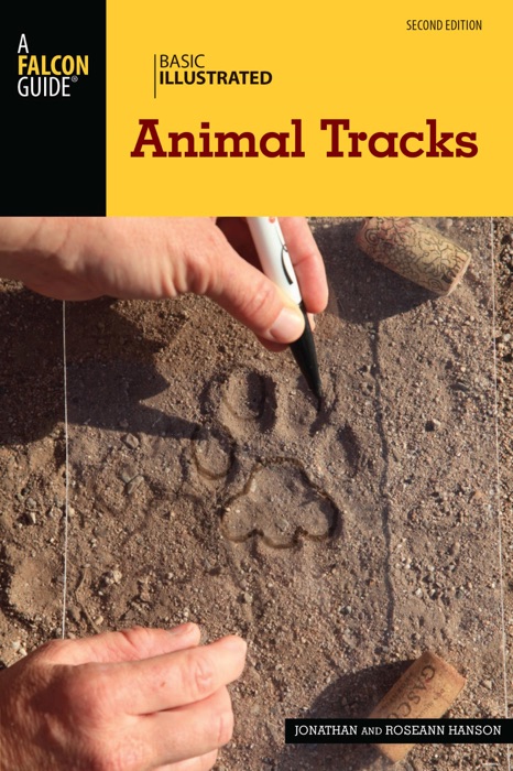 Basic Illustrated Animal Tracks