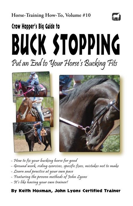 Crow Hopper's Big Guide to Buck Stopping