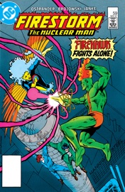 The Fury of Firestorm (1982-) #59 - John Ostrander & J.J. Birch by  John Ostrander & J.J. Birch PDF Download