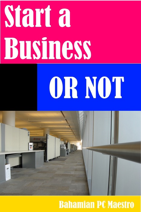 Start A Business Or Not