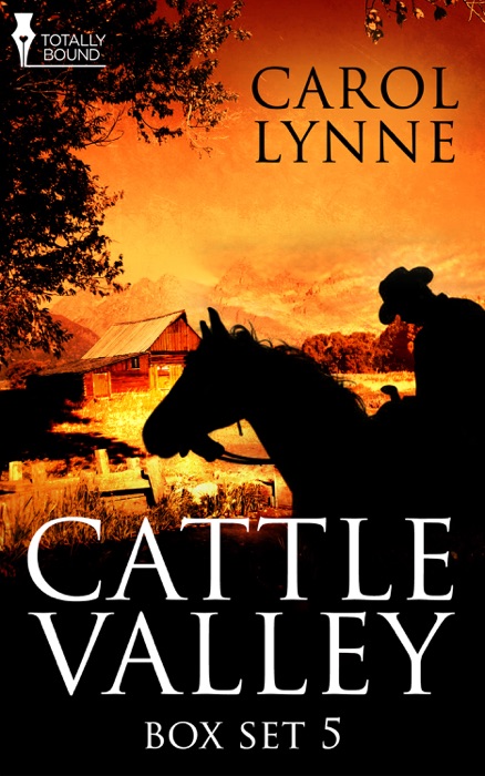 Cattle Valley Box Set 5