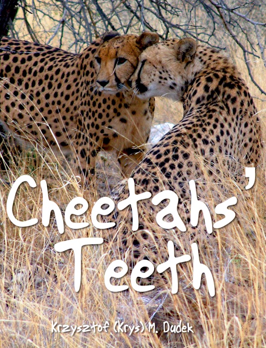 Cheetahs’ Teeth