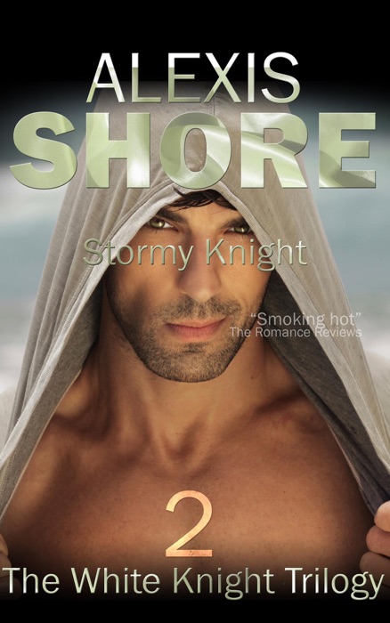 Stormy Knight (The White Knight Trilogy, #2)