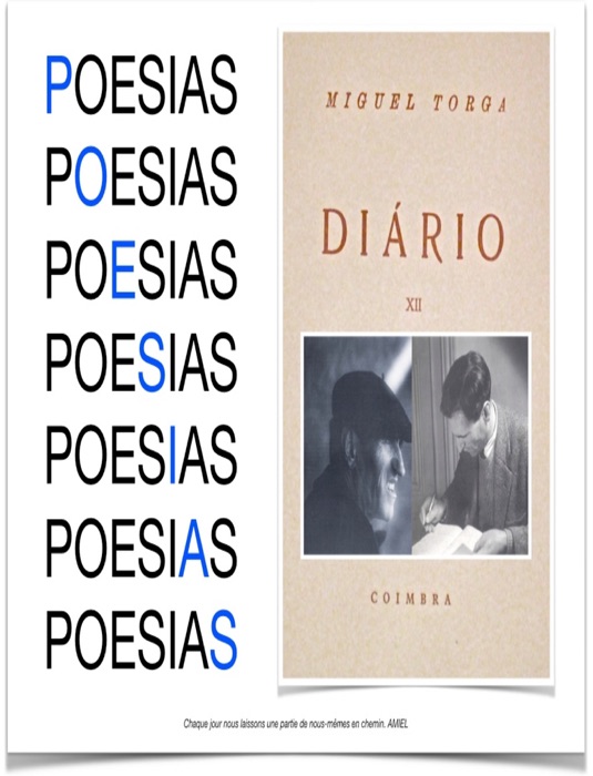 Poesias Diário XII