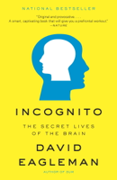 David Eagleman - Incognito artwork