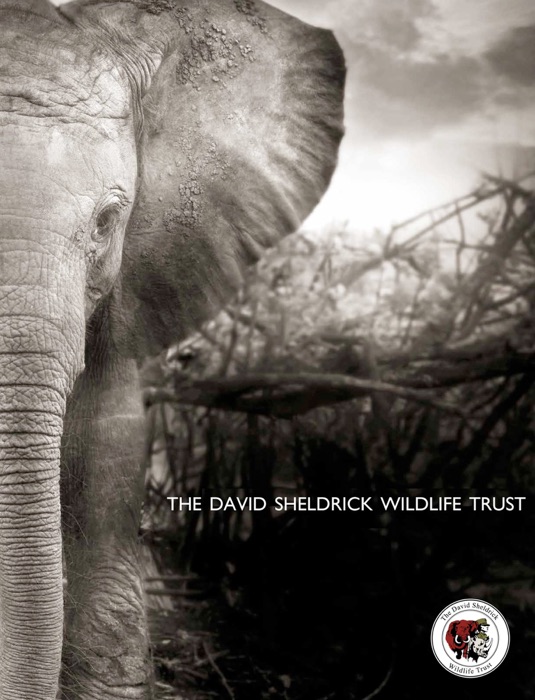 David Sheldrick Wildlife Trust