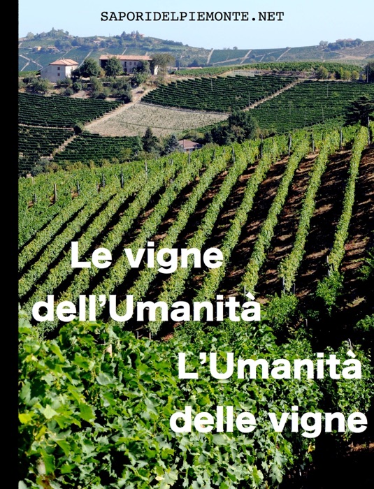 Le vigne dell’Umanità L’Umanità delle vigne