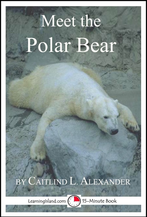 Meet the Polar Bear: A 15-Minute Book for Early Readers