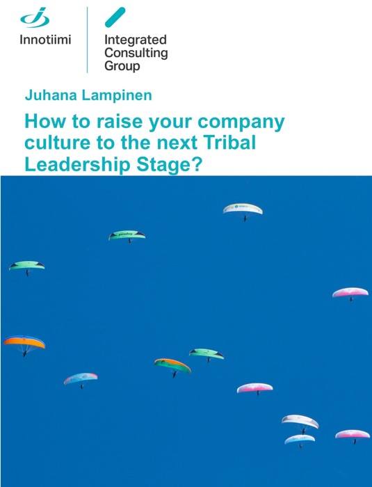 How to Raise Your Company Culture to the Next Tribal Leadership Stage?