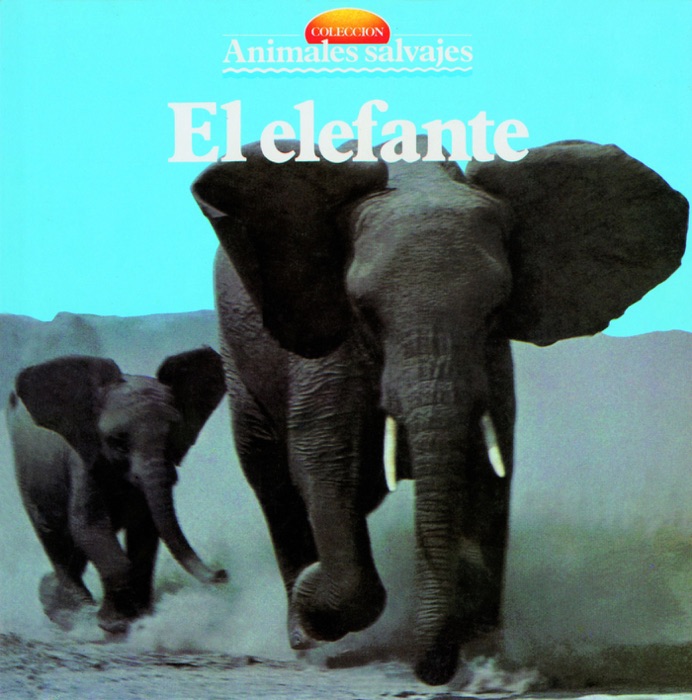 El elefante