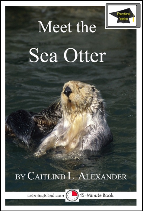 Meet the Sea Otter: Educational Version