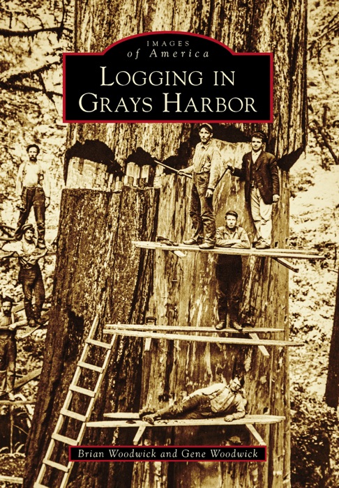 Logging in Grays Harbor