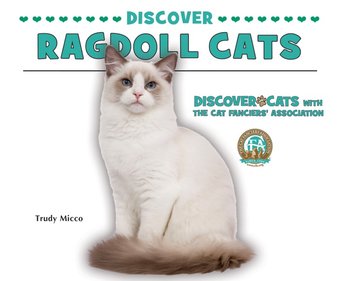 Discover Ragdoll Cats