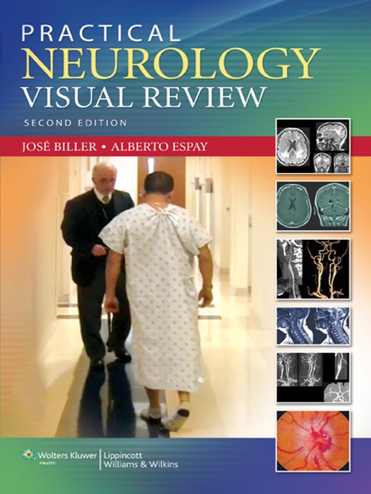 Practical Neurology Visual Review: Second Edition