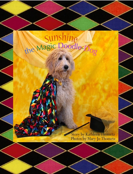 Sunshine the Magic Doodle-Dog