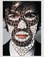 Stefan Sagmeister - Things I have learned in my life so far artwork