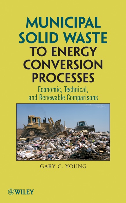 Municipal Solid Waste to Energy Conversion Processes